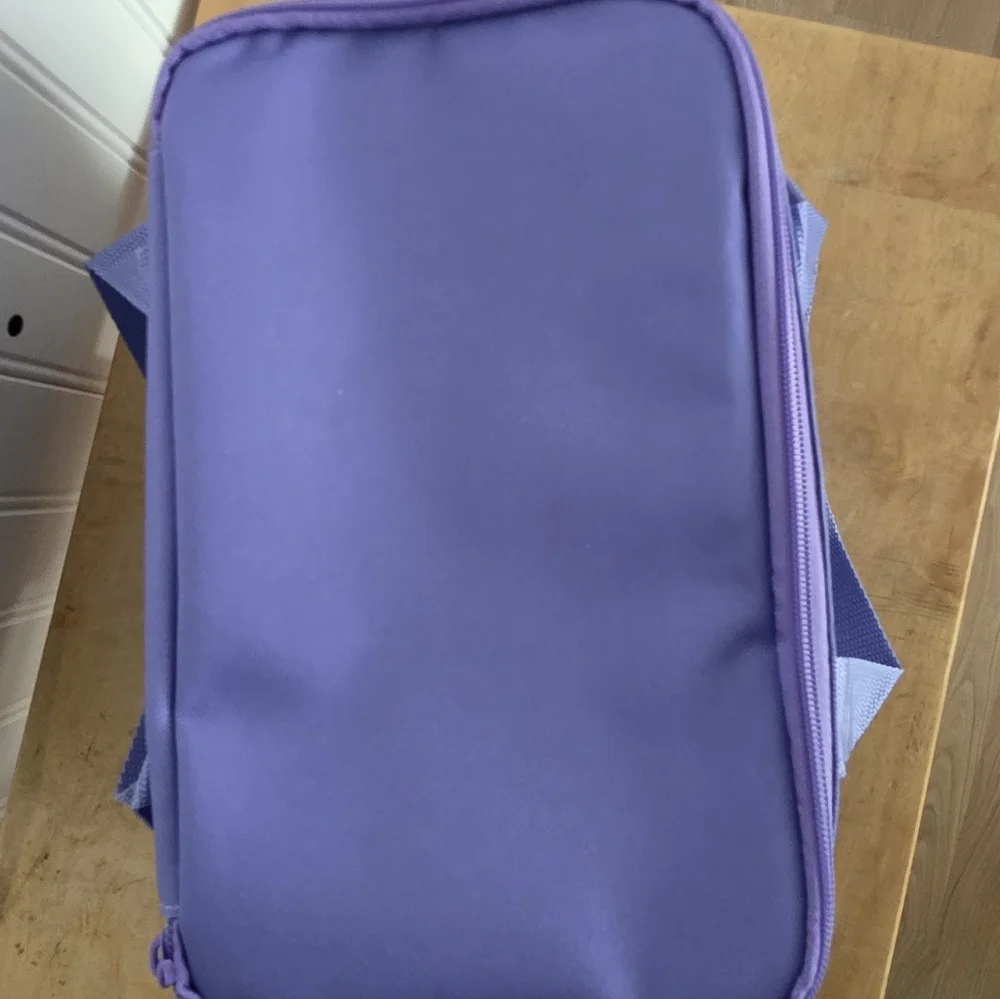 Set Of 4 Trader Joe's Insulated Mini Bags - Picture 4 of 10